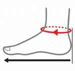 ΜΕΤΡΗΣΗ ΑΣΤΡΑΓΑΛΟΥ